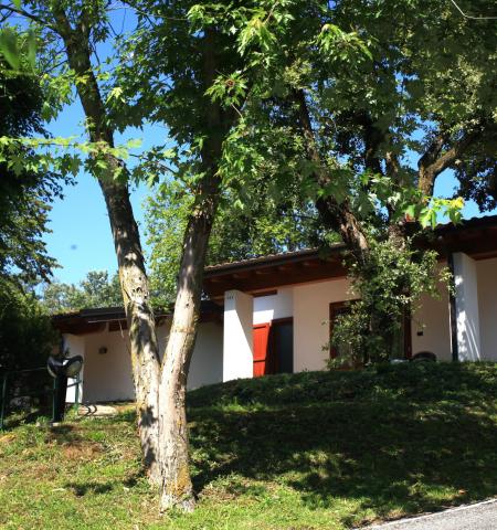 Casa immersa nel verde con alberi e cielo azzurro.