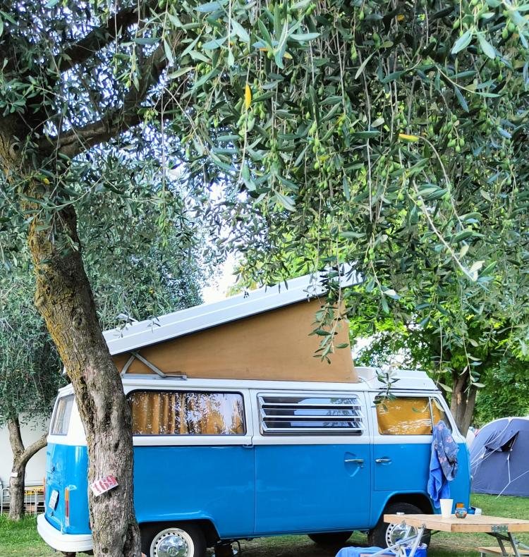 Camper vintage blu sotto gli alberi, sedie e tavolo da campeggio.