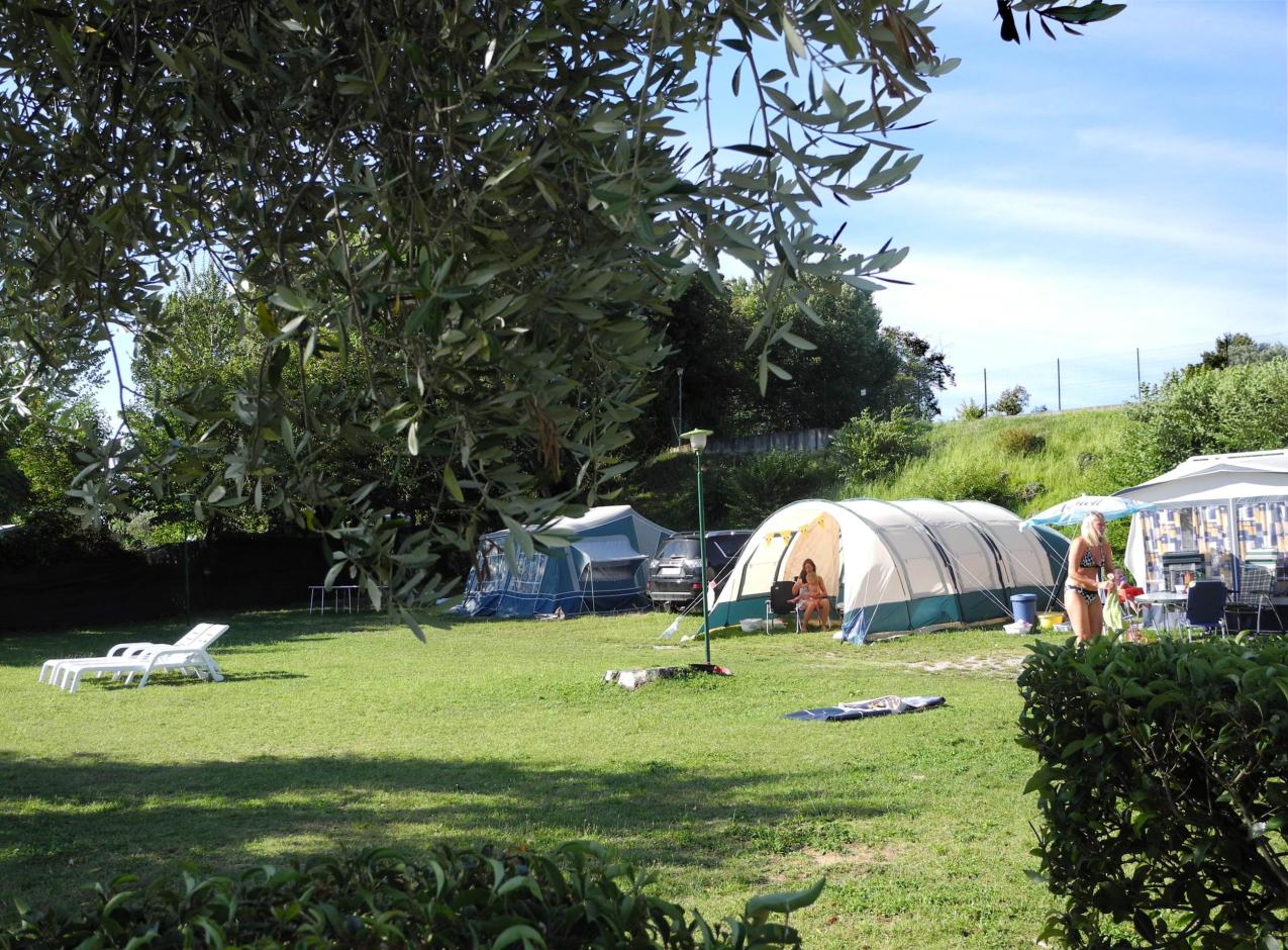 Campeggio con tende e lettini su prato verde, giornata soleggiata.